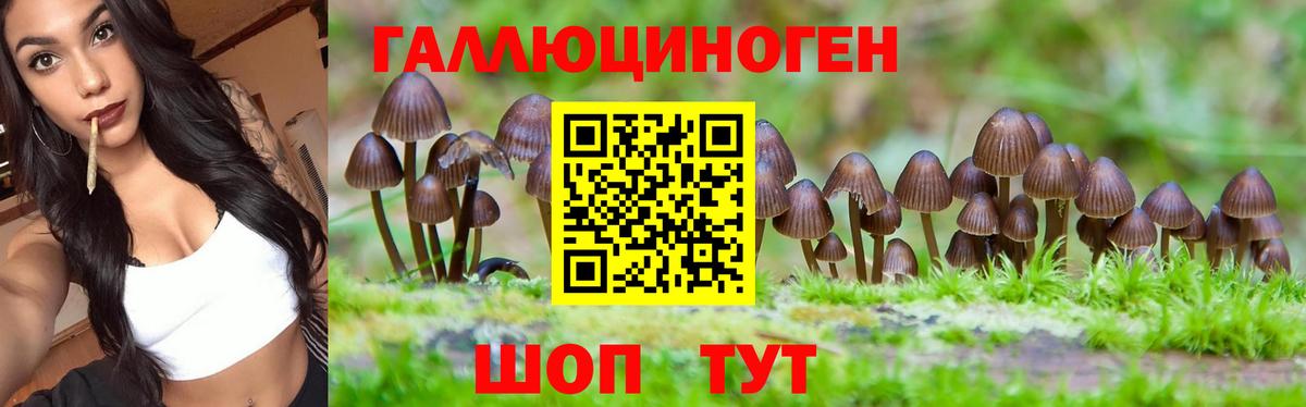 Галлюциногенные грибы MAGIC MUSHROOMS Анапа