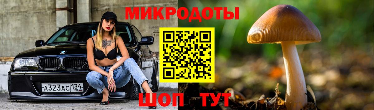 Псилоцибиновые грибы мицелий  Псилоцибиновые грибы GOLDEN TEACHER  Анапа  Вход с VPN 